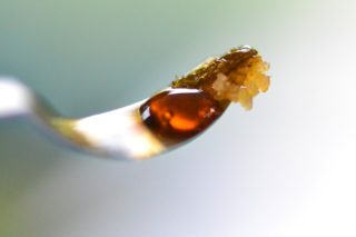 Cannabis, Weed, Pot, Marijuana, Medical Marijuana